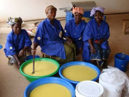 cooperative-karite-mali